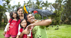 Bali-Bird-Park-Parc-Oiseaux-Bali-Activite-Bali-126